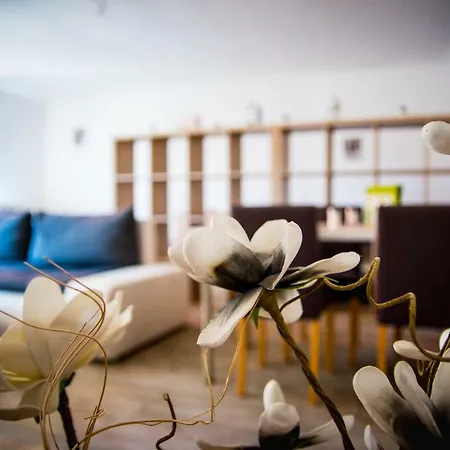 아파트 Apartman Na Krizovatce Dolni Radechova